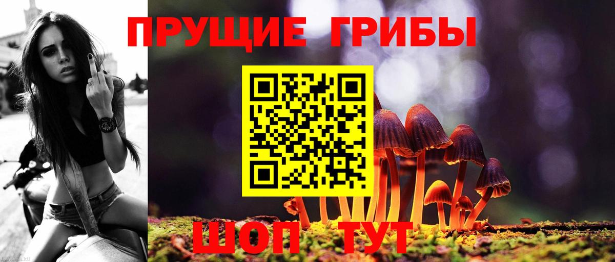 Междуреченск  Галлюциногенные грибы MAGIC MUSHROOMS  Вход с VPN 