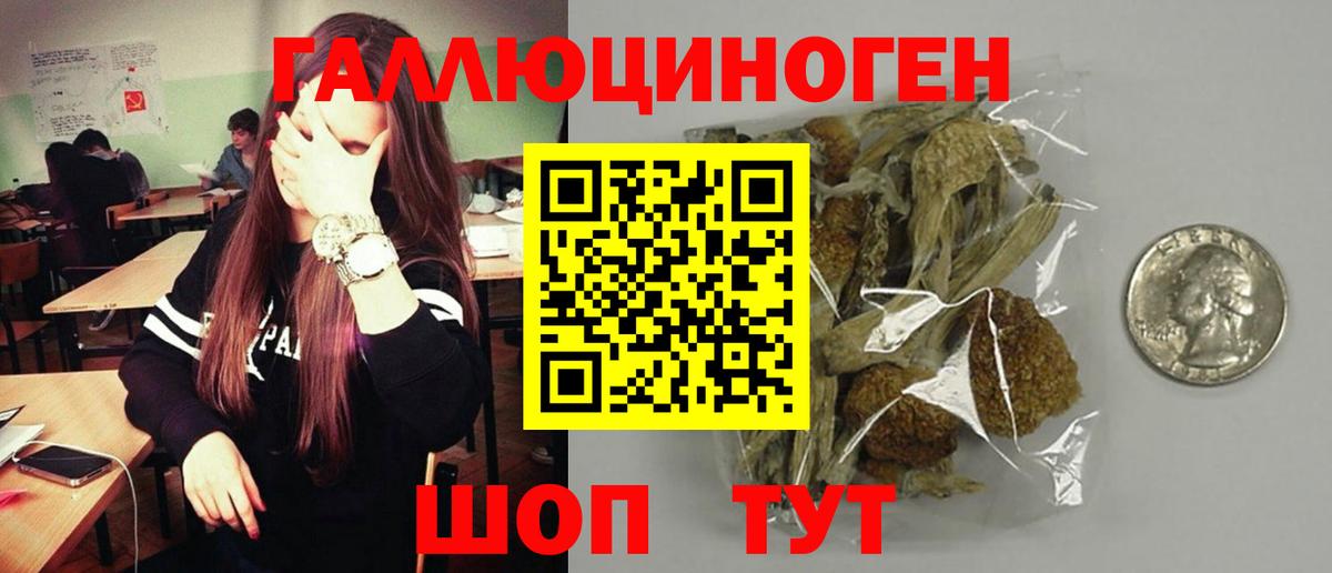 Галлюциногенные грибы прущие грибы Междуреченск